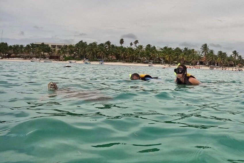 A beach with people swimming and snorkeling, palm trees, and a distant shoreline. 3