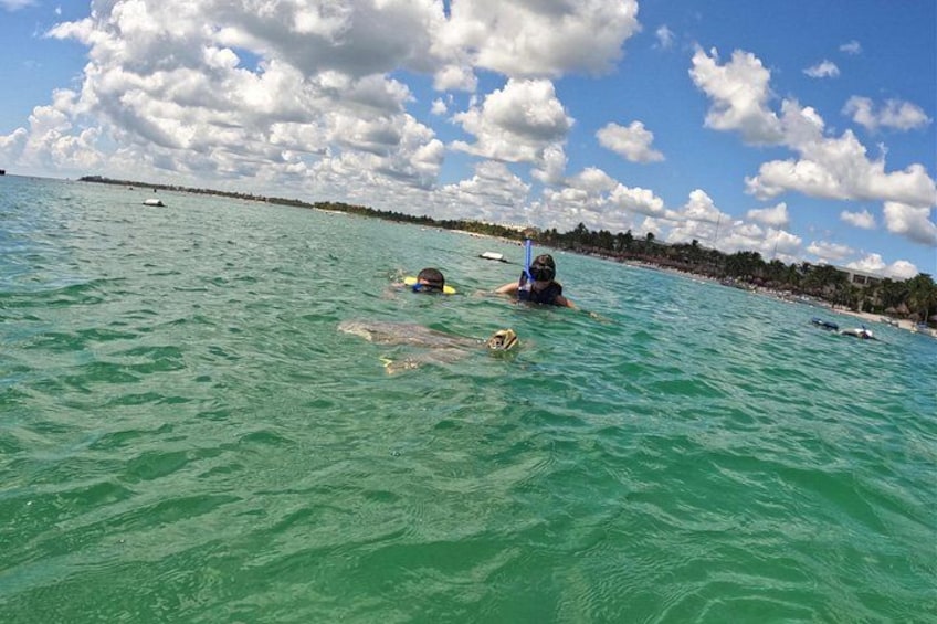 A person swimming in turquoise water with a snorkel and fins, another person in the background, and a beach with trees and buildings on the shore. 1