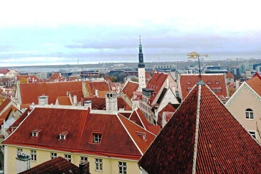A cityscape with red-roofed buildings and a prominent church spire. 4