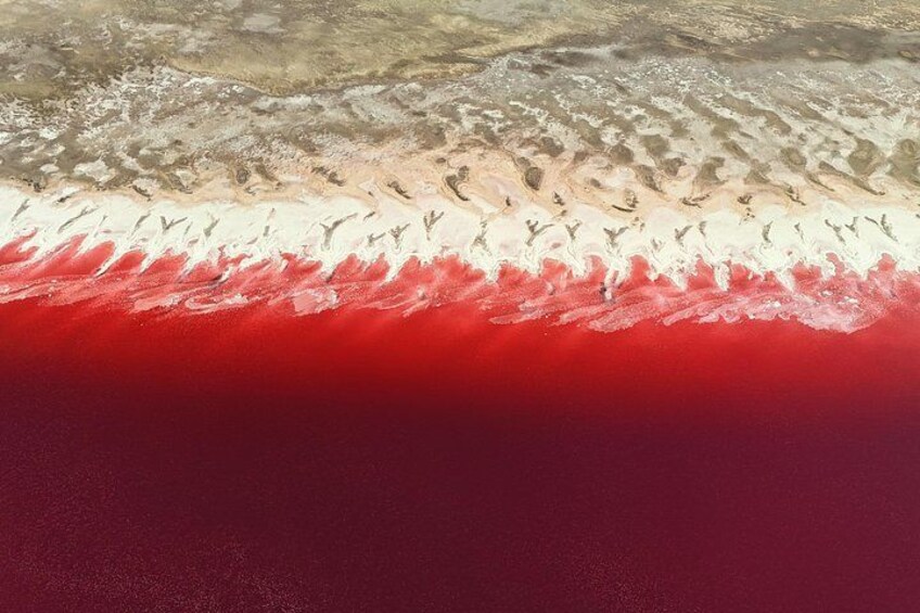 Stunning view of the Pink Lake at Rozel Point — a natural wonder of the Great Salt Lake 1
