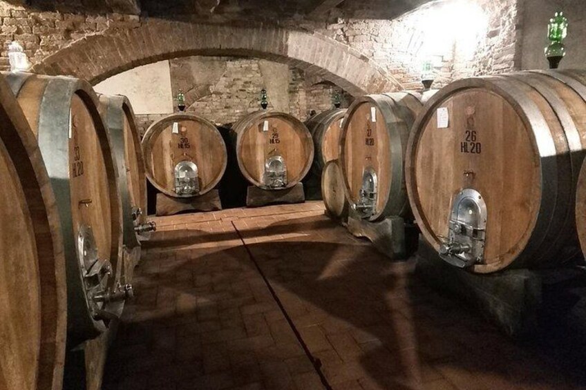 Barricas de madera en una bodega con paredes de piedra y suelo de ladrillo. 3
