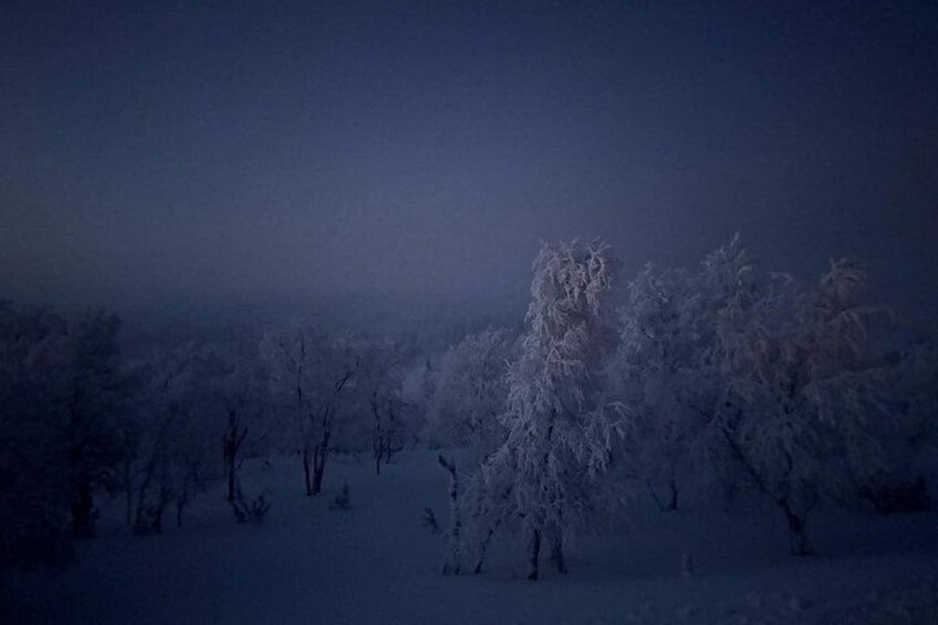A snowy landscape with trees covered in snow. 2