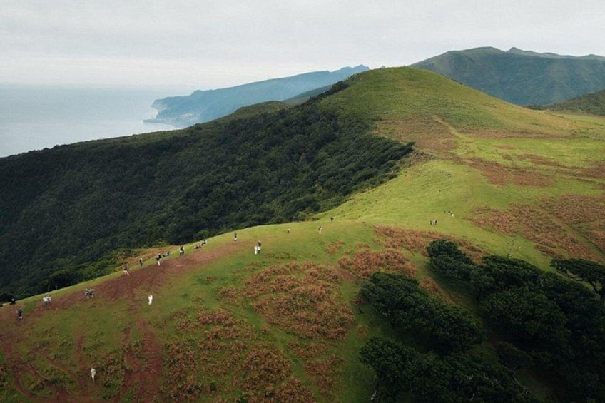 A hilly landscape with green vegetation and a coastline in the distance. 1