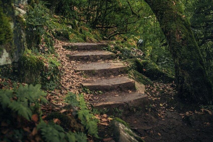 A set of stone steps leading up a forested hill. 4