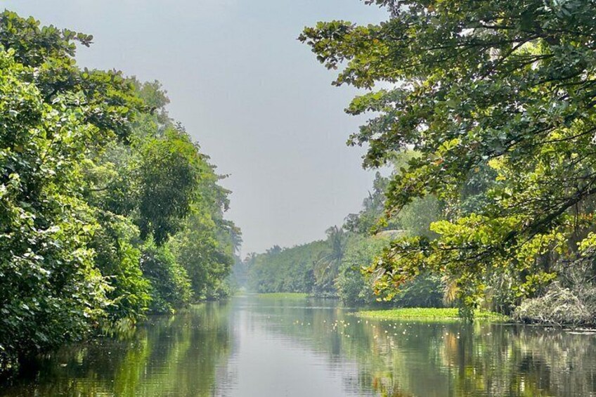 muthurajawela wetlands view 5