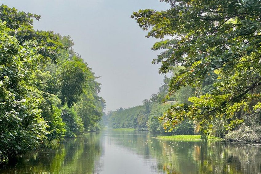 A calm river flanked by dense green foliage. 3