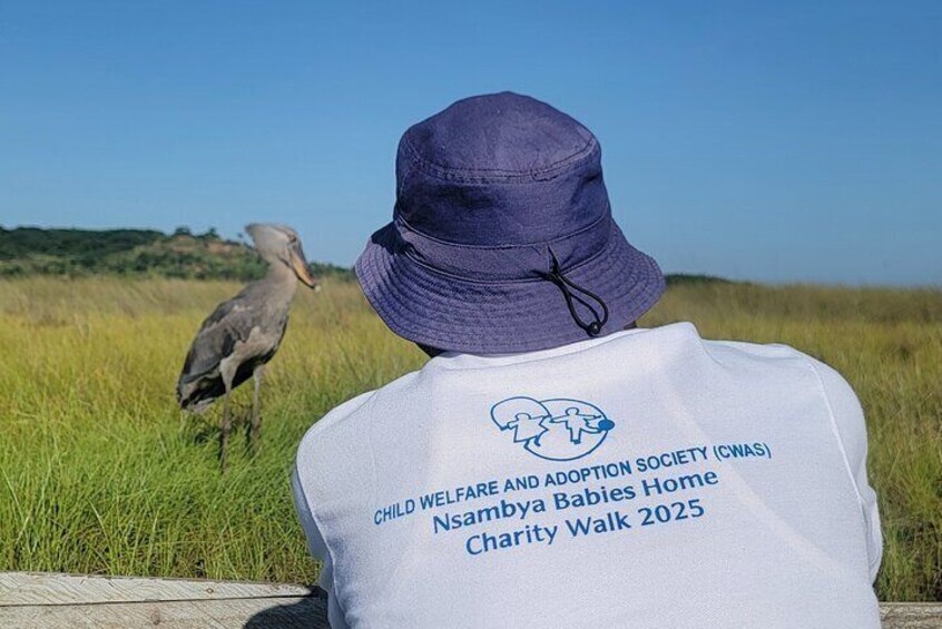 A person in a purple hat and a white shirt with a logo, standing in a grassy field with a bird. 3