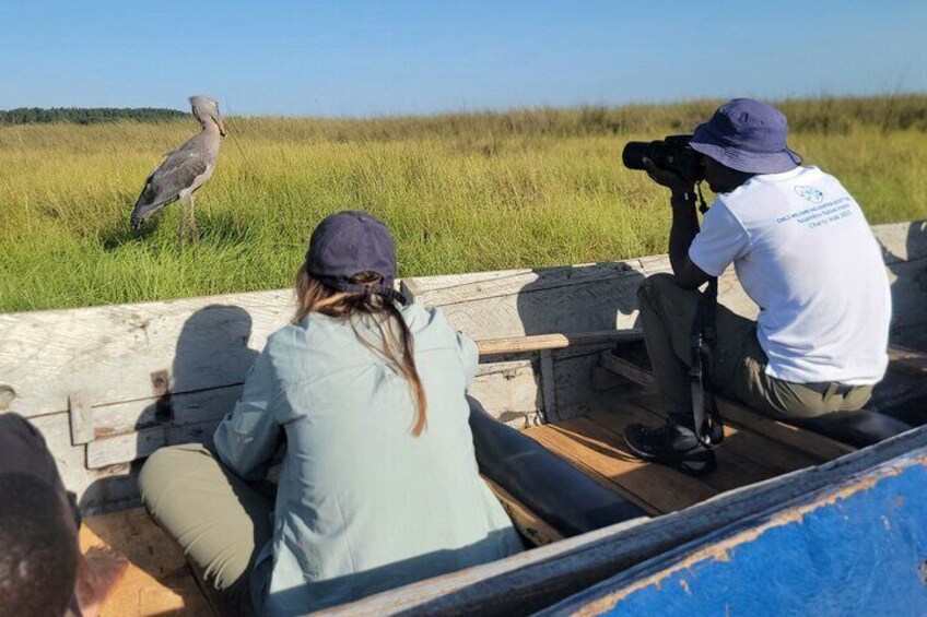 A person taking a photo of a bird in a grassy field. 4