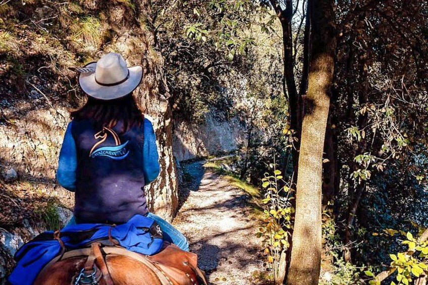 Panoramic 2-Hour Horseback Ride on Monte Gaggio (Intermediate) 2