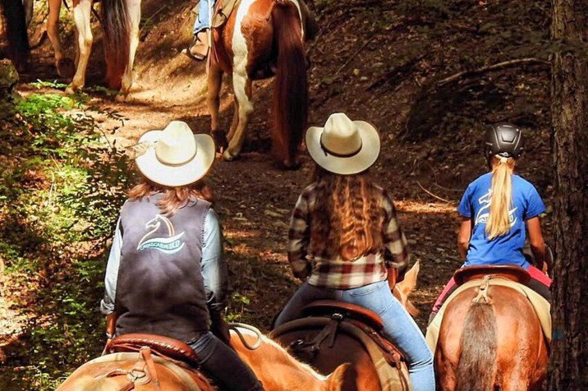 Panoramic 2-Hour Horseback Ride on Monte Gaggio (Intermediate) 5