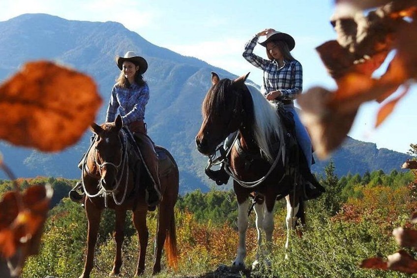 Panoramic 2-Hour Horseback Ride on Monte Gaggio (Intermediate) 1