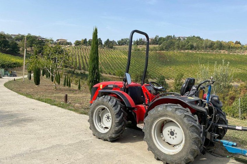 From Verona, Modena trip: Parmigiano factory, vinegar & Ferrari 5