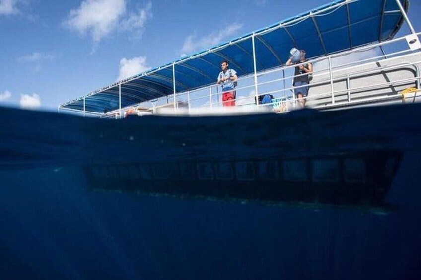 Roatan Glass Bottom Boat Tours and Beach Options 5
