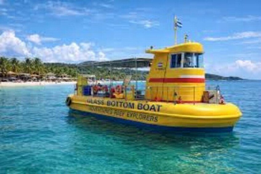Roatan Glass Bottom Boat Tours and Beach Options 4