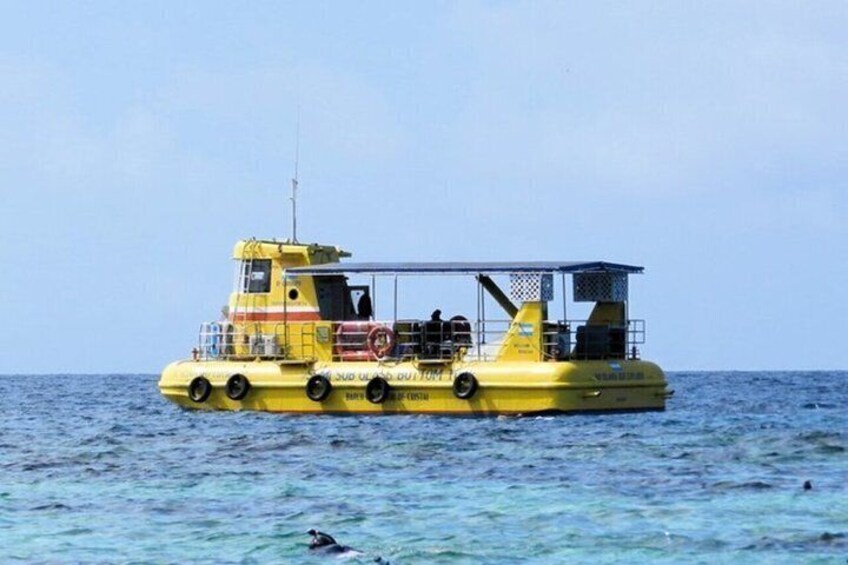 Roatan Glass Bottom Boat Tours and Beach Options 2