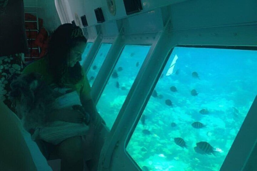 Roatan Glass Bottom Boat Tours and Beach Options 3
