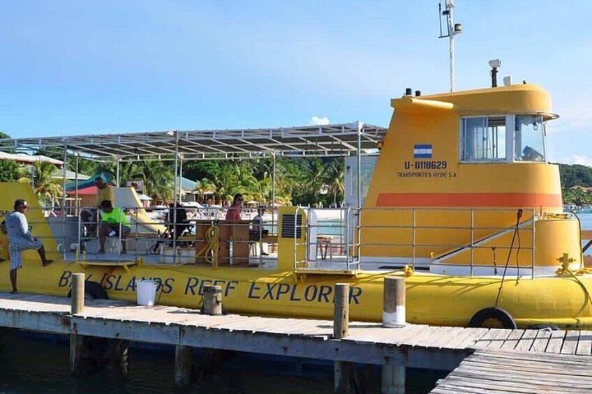 Roatan Glass Bottom Boat Tours and Beach Options 2
