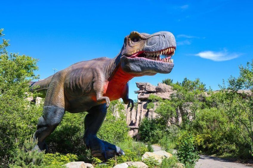 Wilder Institute's Calgary Zoo: Entry Ticket 4