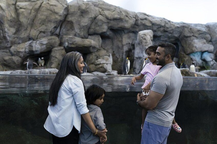 Wilder Institute's Calgary Zoo: Entry Ticket 2