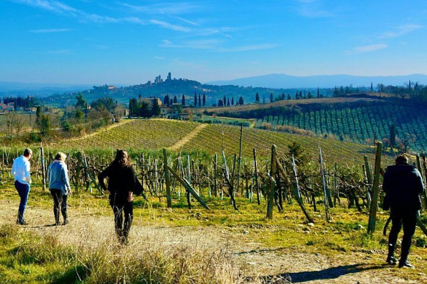 Tuscany hills 3