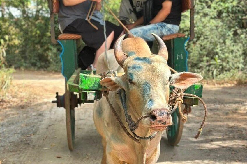 High recommended multi-day customizable Sri Lanka tours 3