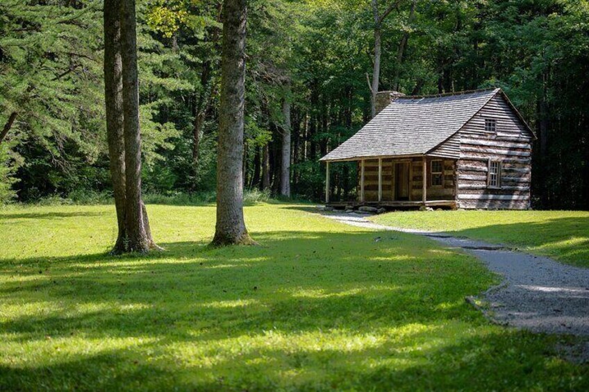 A rustic log cabin surrounded by lush green grass and tall trees. 4