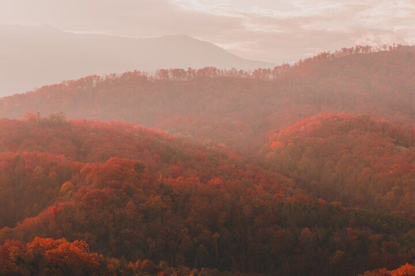 A forested landscape with red foliage, rolling hills, and a mountain in the background. 5