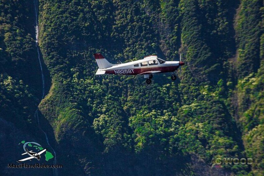 Un piccolo aereo vola sopra una rigogliosa area montuosa. 1