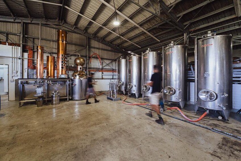 Port Vila Distillery Experience at 83 Islands Distillery, Vanuatu 5