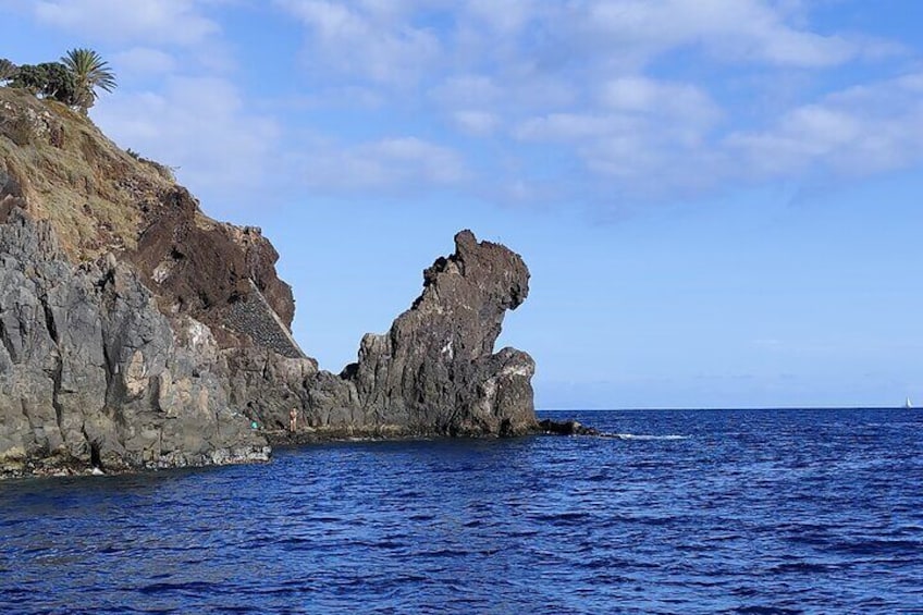 View of Ponta da Cruz (pic6) 3