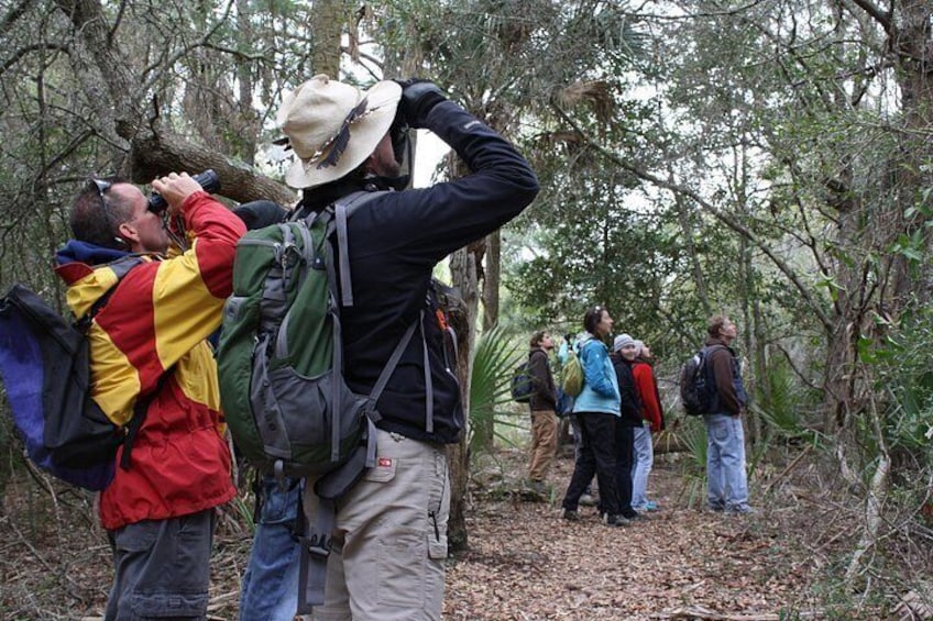 A group of people hiking in a forested area. 2