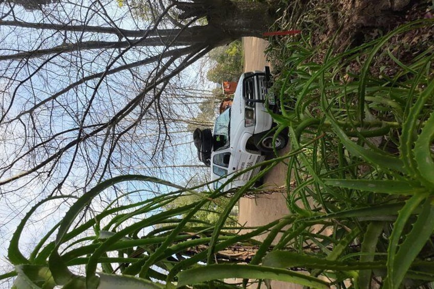 A white vehicle parked on a roadside with dense green foliage in the foreground. 1