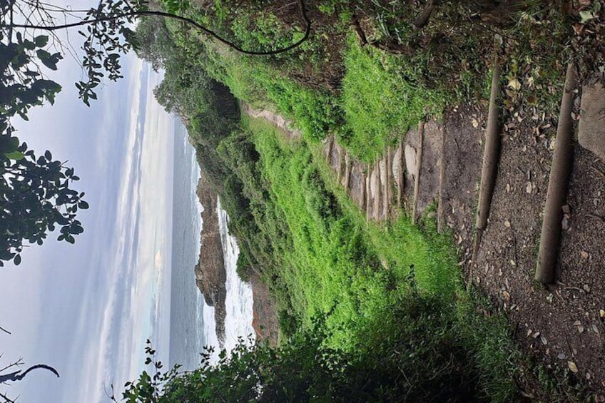 A coastal landscape with green vegetation, a rocky cliff, and a body of water. 4