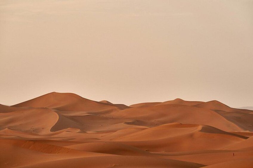 Wüstenlandschaft mit sanften Sanddünen unter blauem Himmel. 2