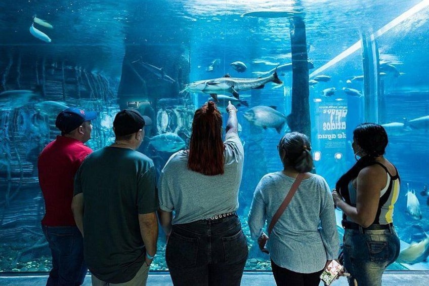 An aquarium with people observing marine life. 1