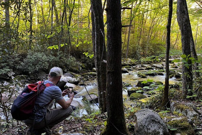 Una persona sentada junto a un arroyo en un área boscosa con árboles y rocas. 5