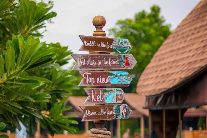 Nakhon Pathom: Don Wai Market, Wat Samphan, Bubble in the Forest 2