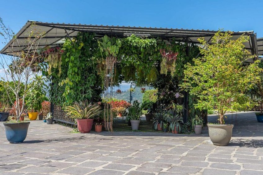 Gardens at Hacienda Orosi 3