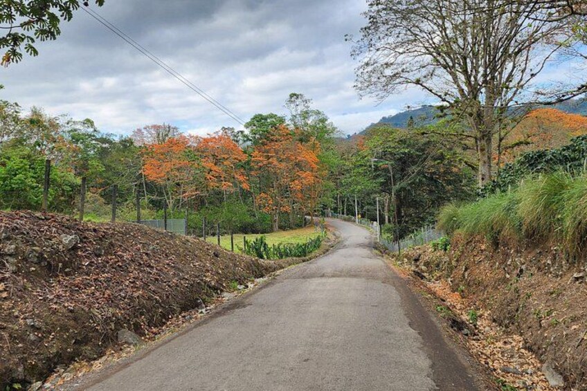On the way to Irazu Volcano National Park 5