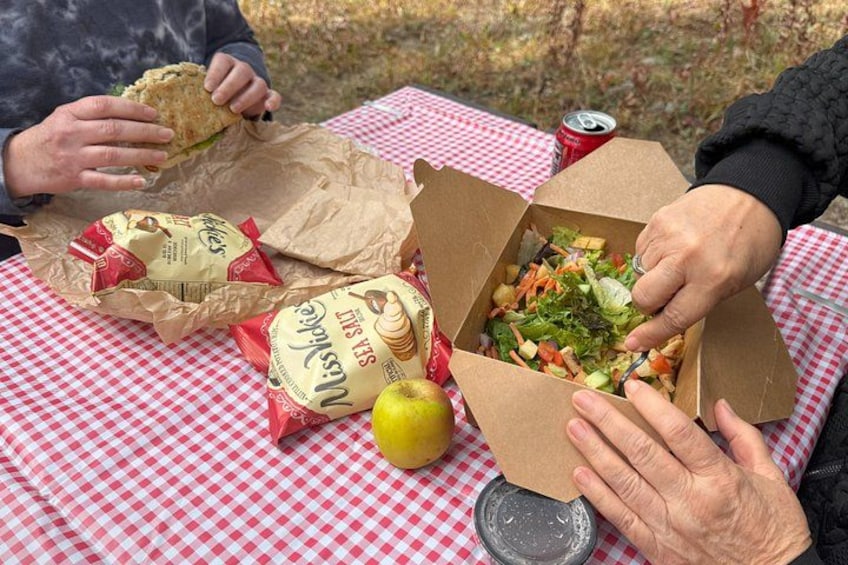 Människor på en picknick med smörgåsar, sallad, chips och ett äpple på ett rutigt bord. 3