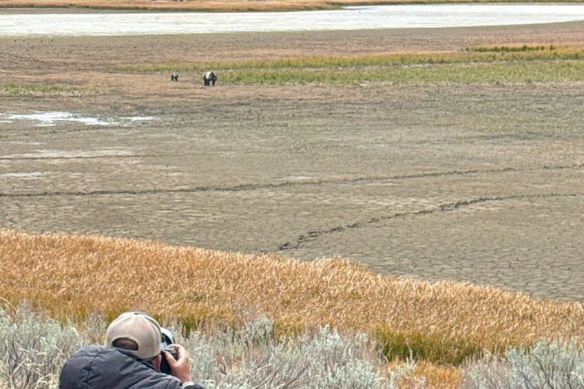 En person fotograferar två hundar på en åker med en flod i bakgrunden. 5