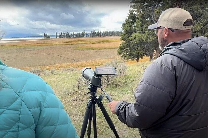 Yellowstone in a Day Private Guided Tour 2
