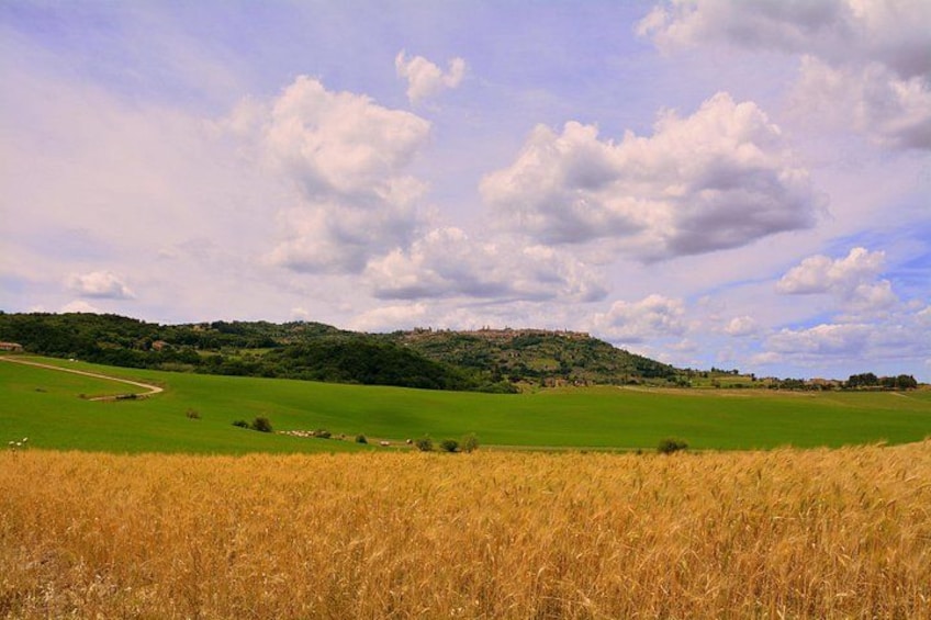 Tuscany 2