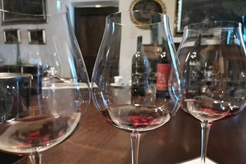 Wine Tasting 4