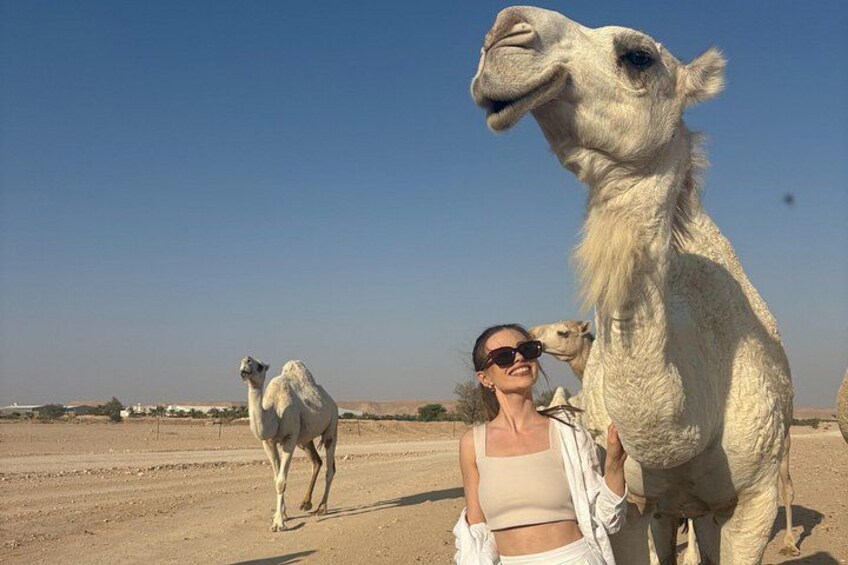 Watching the camels roam near the Edge of the World in Riyadh, where the desert comes alive with breathtaking views and authentic Saudi beauty 4