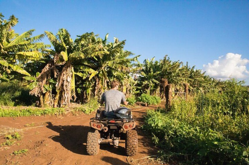 Oahu Beachfront ATV Adventure and Farm Tour 4
