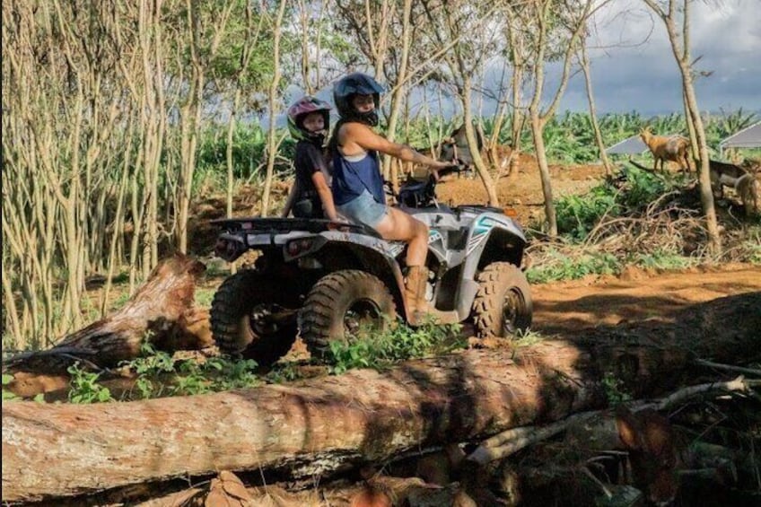 Two people on an ATV in a forested area with trees and a fallen tree trunk. 5