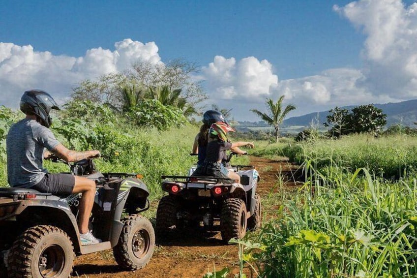 Oahu Beachfront ATV Adventure and Farm Tour 5