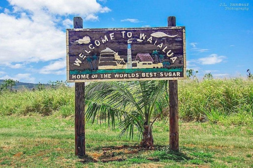 Oahu Beachfront ATV Adventure and Farm Tour 3