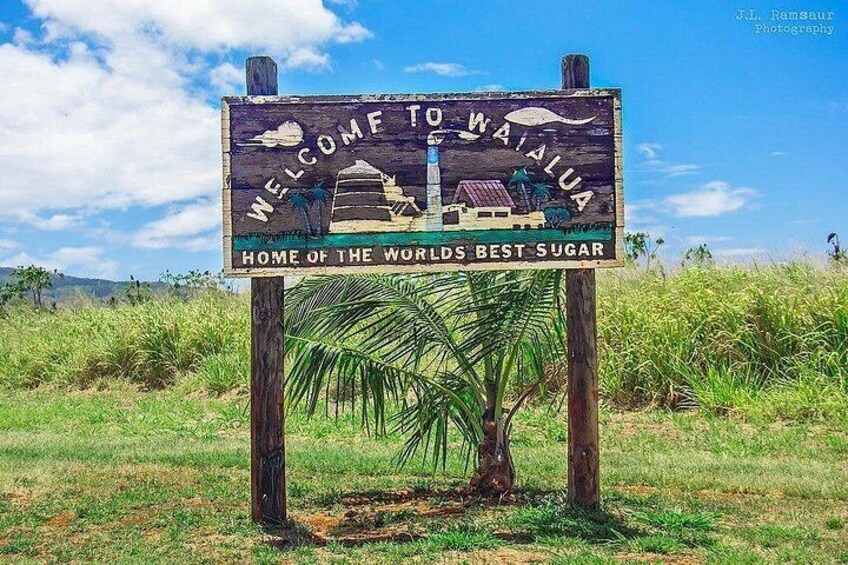 Oahu Beachfront ATV Adventure and Farm Tour 4